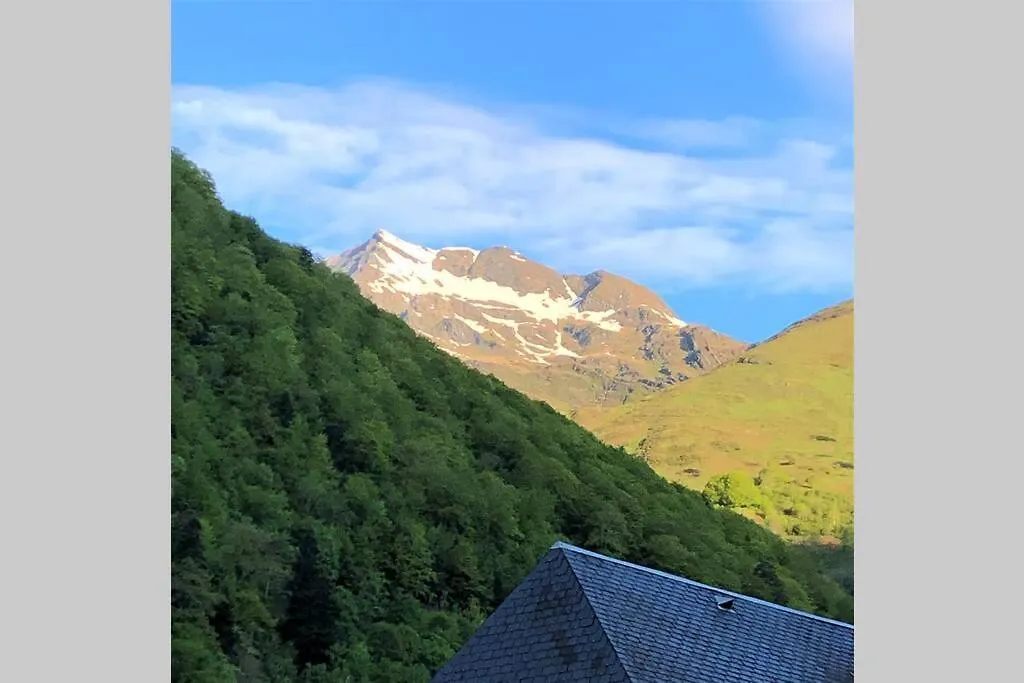 Apartment Grand T2 4 Voyageurs Tout Confort Cauterets France